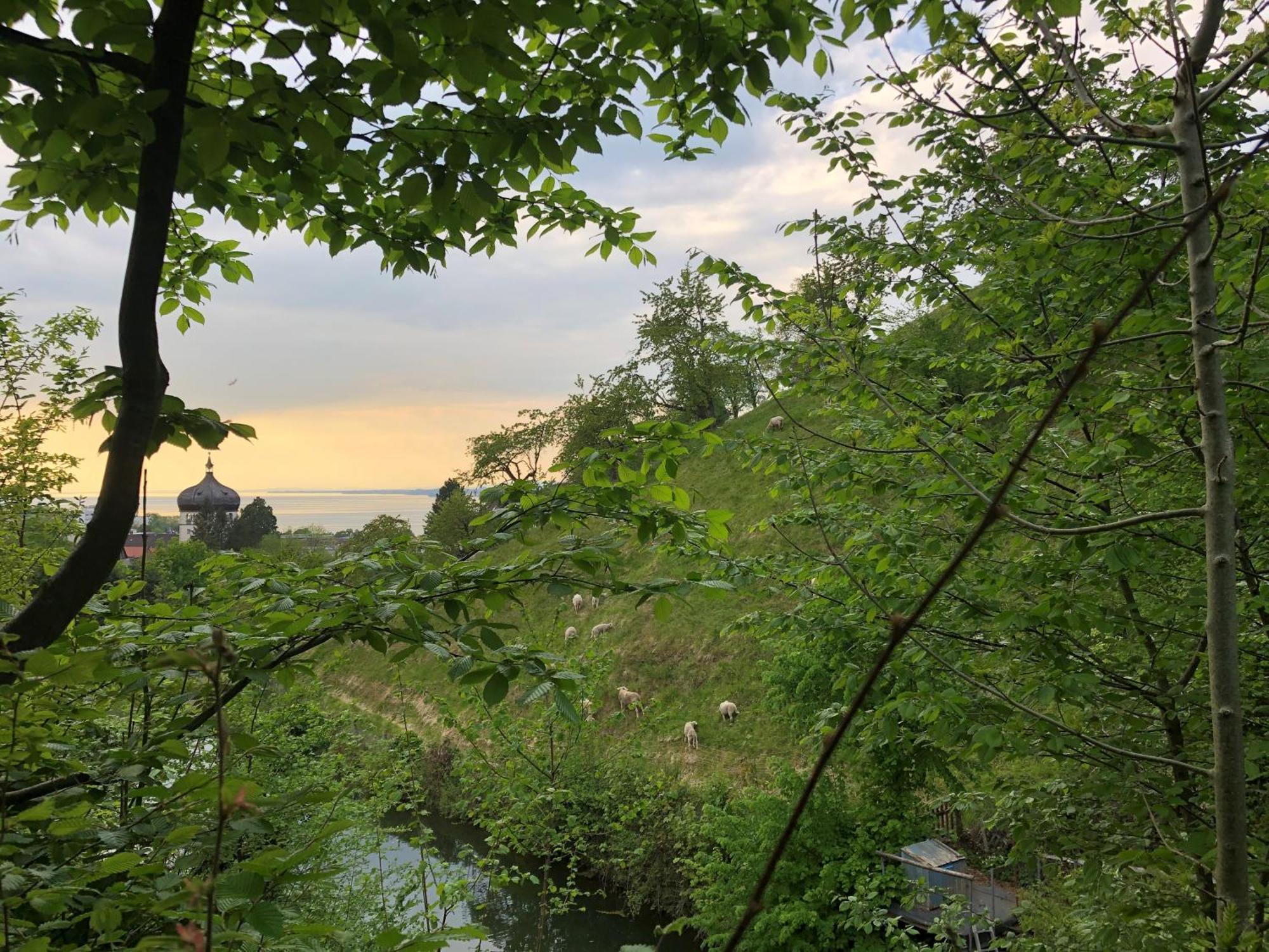 Haus Am Felsen, Ferien In Vorarlberger Architektur Daire Bregenz Dış mekan fotoğraf